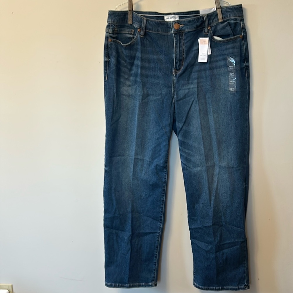 Lane Bryant denim blue jeans button front new with tags size 22/24 short